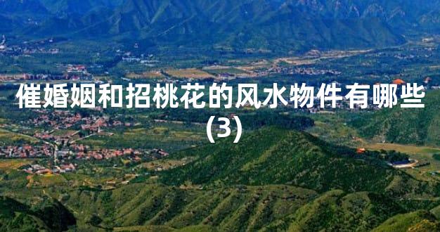 催婚姻和招桃花的风水物件有哪些 (3)